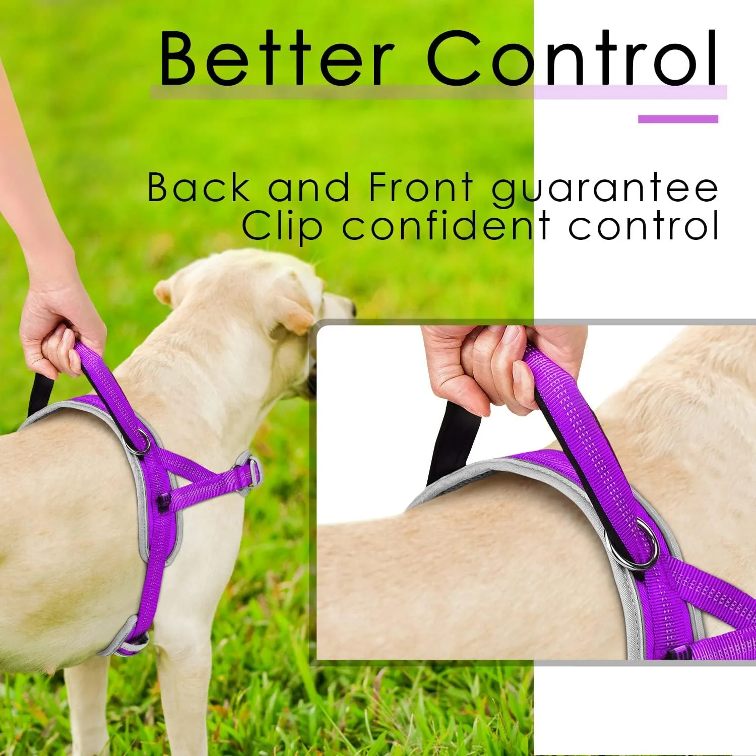 ADVENTUREMORE Dog Harness for Small Dogs No Pull, Dog Halter Harness Adjustable Reflective Dog Vest Escape Proof Dog Harness with Easy Control Front Clip Handle for Training Walking S Purple