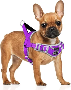 ADVENTUREMORE Dog Harness for Small Dogs No Pull, Dog Halter Harness Adjustable Reflective Dog Vest Escape Proof Dog Harness with Easy Control Front Clip Handle for Training Walking S Purple