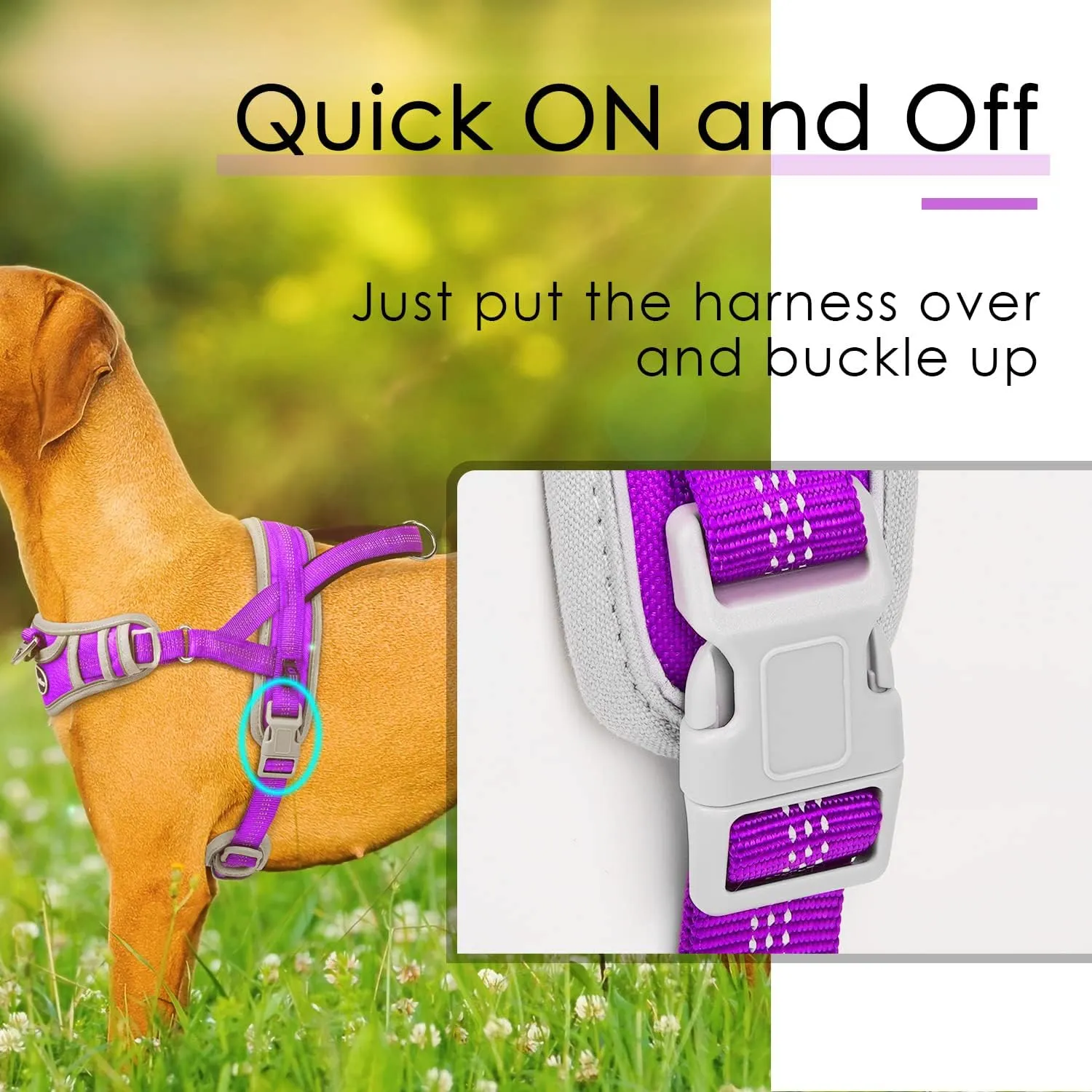 ADVENTUREMORE Dog Harness for Small Dogs No Pull, Dog Halter Harness Adjustable Reflective Dog Vest Escape Proof Dog Harness with Easy Control Front Clip Handle for Training Walking S Purple
