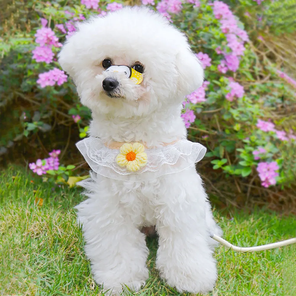 Aiitle Floral Lace Princess Dog Harness Leash Set