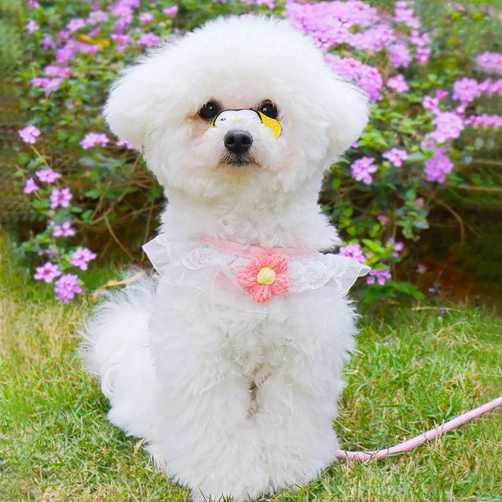 Aiitle Floral Lace Princess Dog Harness Leash Set
