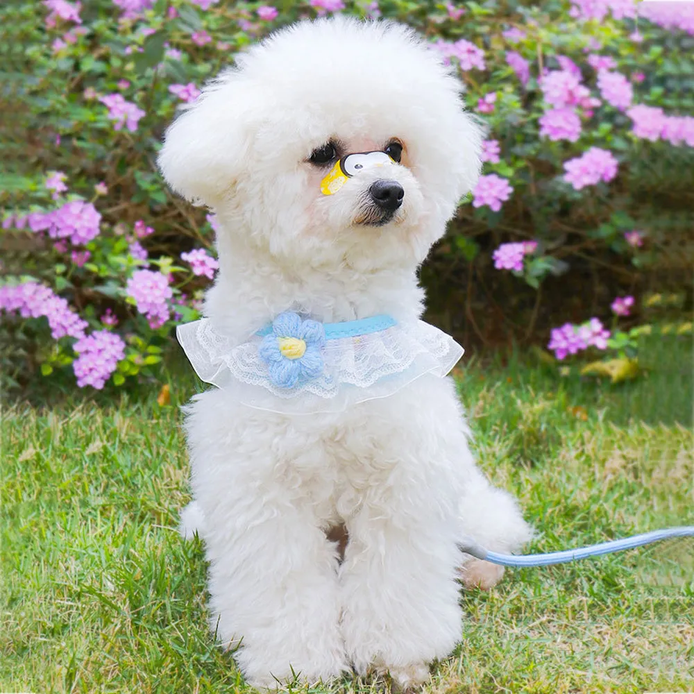 Aiitle Floral Lace Princess Dog Harness Leash Set
