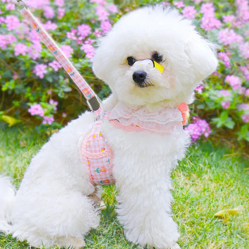 Aiitle Floral Lace Princess Dog Harness Leash Set