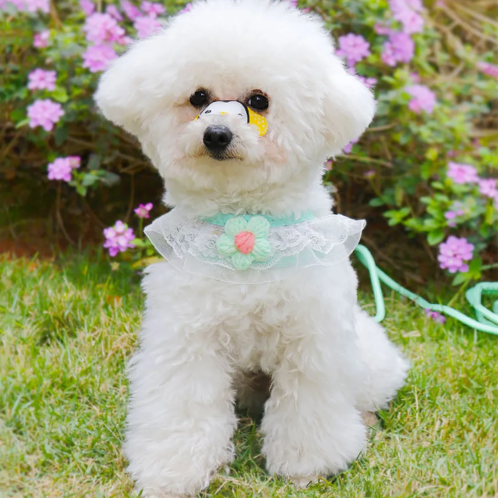Aiitle Floral Lace Princess Dog Harness Leash Set