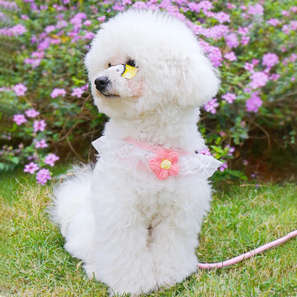 Aiitle Floral Lace Princess Dog Harness Leash Set