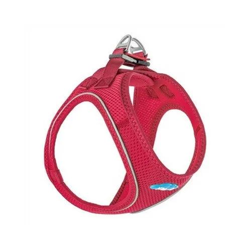 Air Mesh Vest Dog Harness — Peacock