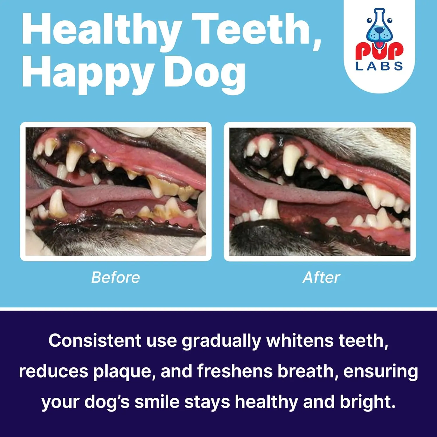 All-Natural and Expert-Formulated Dental Powder for Dogs, Dog Dental Supplement for Healthy Teeth and Against Leaky Gums for Dogs 12  Weeks, Made in The USA with The Standards, 20 Serv