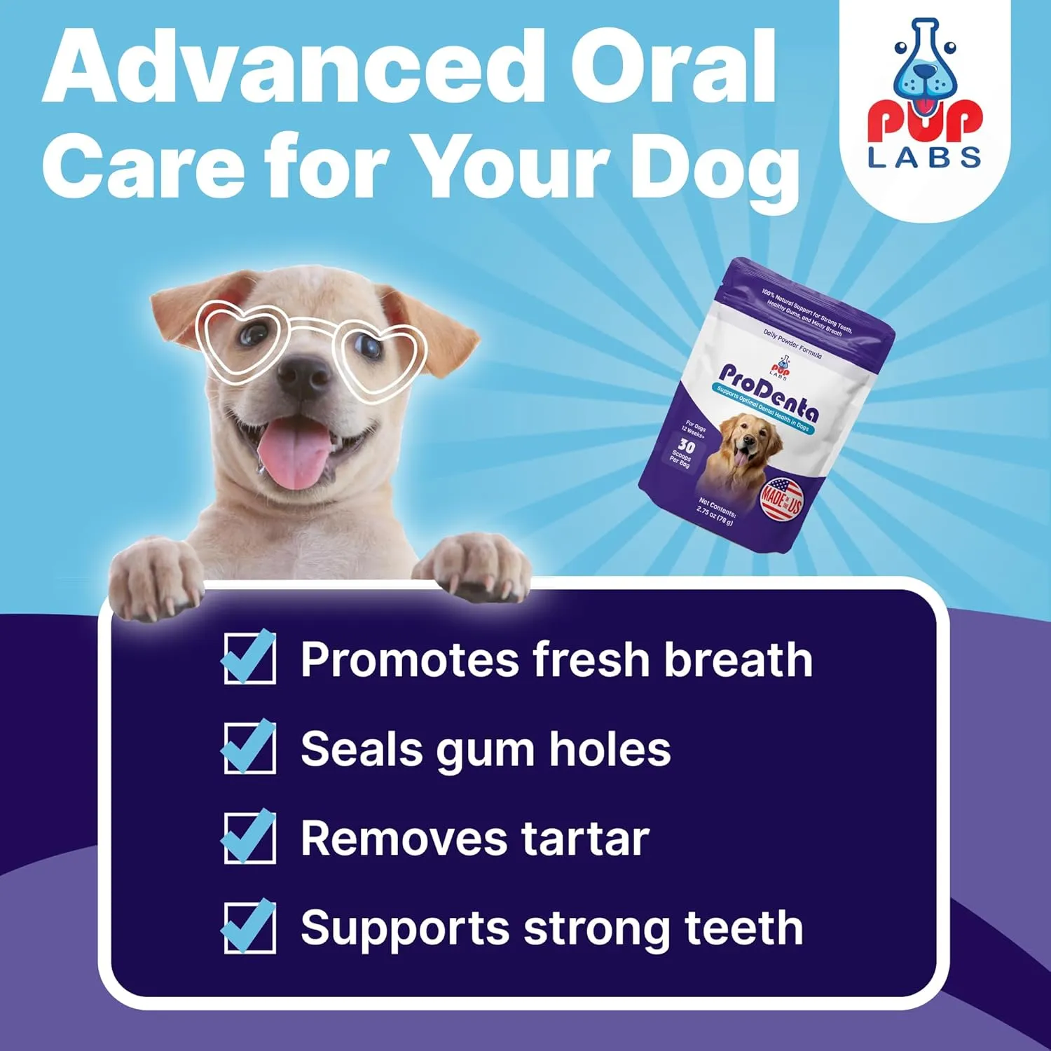 All-Natural and Expert-Formulated Dental Powder for Dogs, Dog Dental Supplement for Healthy Teeth and Against Leaky Gums for Dogs 12  Weeks, Made in The USA with The Standards, 20 Serv
