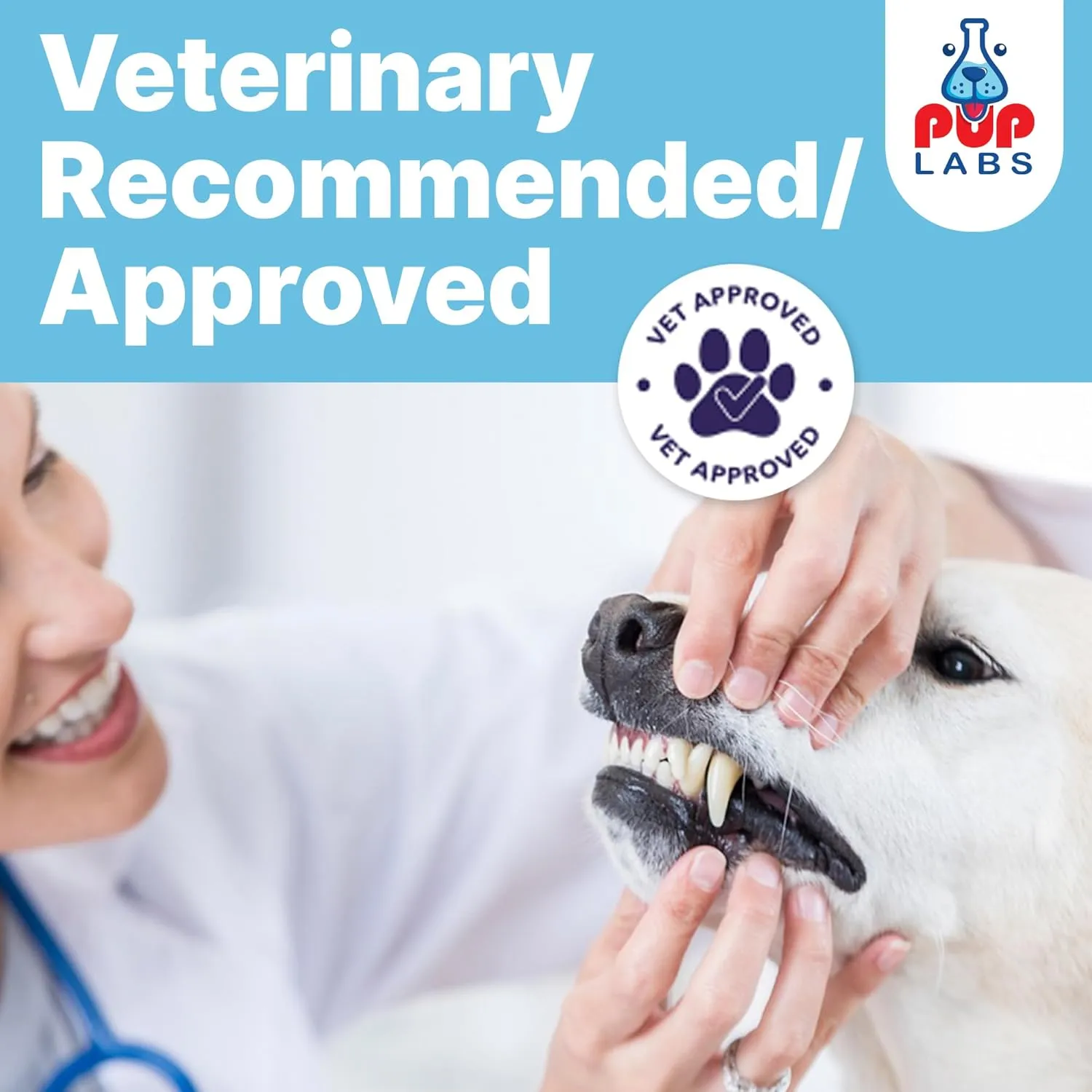 All-Natural and Expert-Formulated Dental Powder for Dogs, Dog Dental Supplement for Healthy Teeth and Against Leaky Gums for Dogs 12  Weeks, Made in The USA with The Standards, 20 Serv