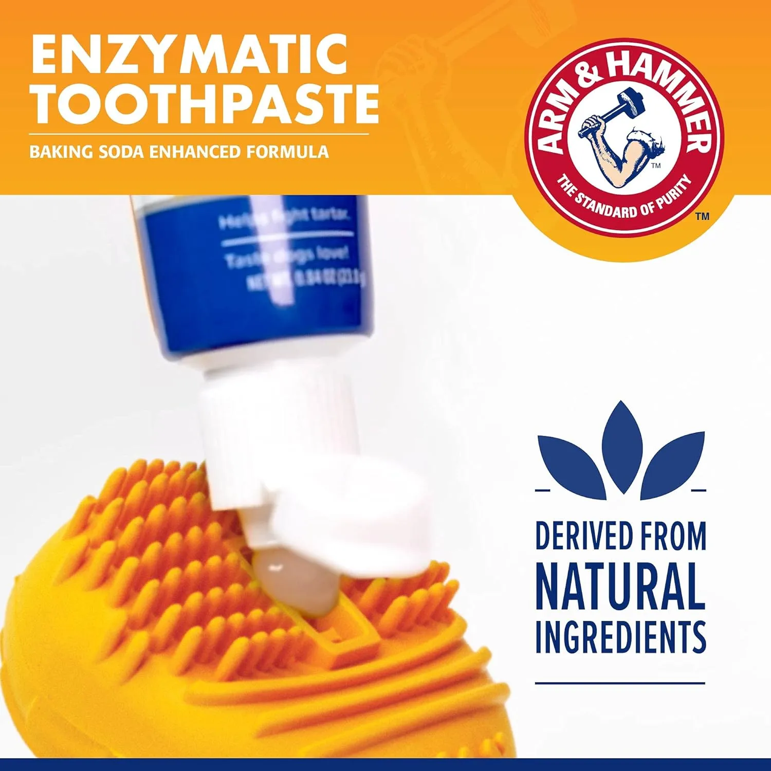 Arm & Hammer for Pets Tartar Control EZ Clean Bone & Dog Toothpaste | Dental Bone for Medium/Large Dogs (20-40 Lbs) & Tartar Control Baking Soda Enhanced Toothpaste, Beef Flavor | Dog Dental Toy