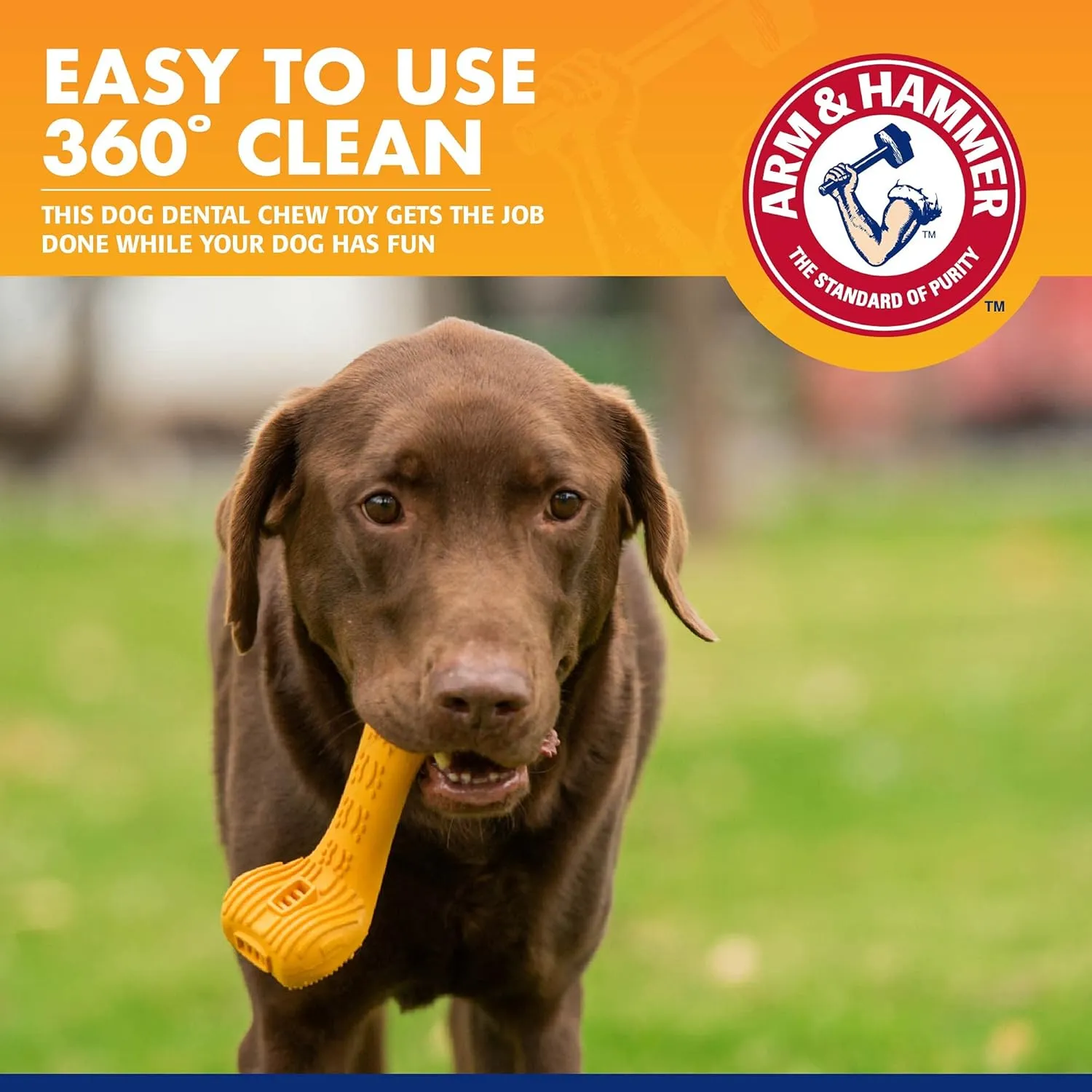 Arm & Hammer for Pets Tartar Control EZ Clean Bone & Dog Toothpaste | Dental Bone for Medium/Large Dogs (20-40 Lbs) & Tartar Control Baking Soda Enhanced Toothpaste, Beef Flavor | Dog Dental Toy