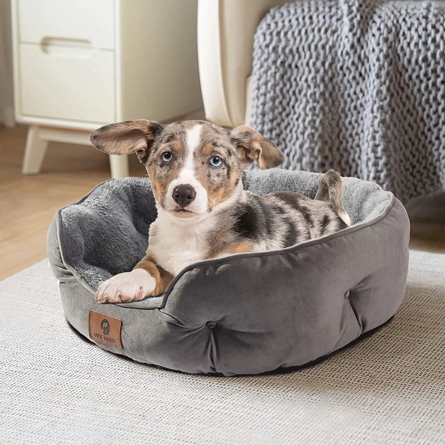 Bed for Small Dogs