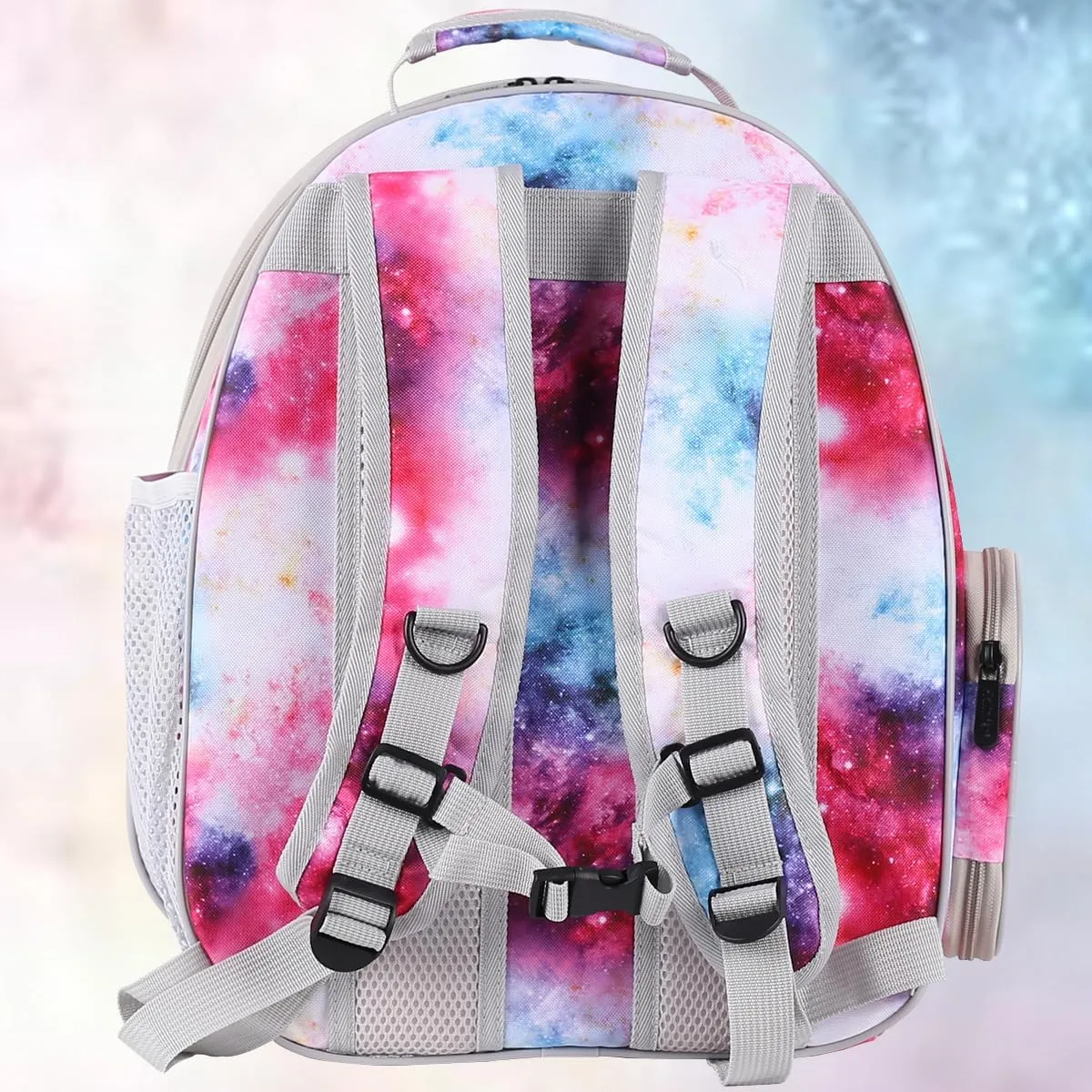 Bird Travel Carrier Cage, Space Capsule Clear Bubble Window Backpack to Carry and Transport Small Birds Like Parakeet Cockatiel Conure Budgies Parrot to Vet and Outdoor Adventure (Galaxy Pink, Large)
