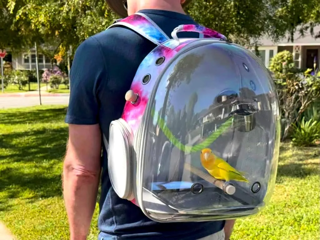 Bird Travel Carrier Cage, Space Capsule Clear Bubble Window Backpack to Carry and Transport Small Birds Like Parakeet Cockatiel Conure Budgies Parrot to Vet and Outdoor Adventure (Galaxy Pink, Large)