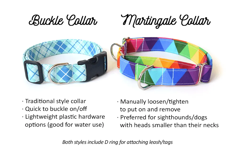 Black & White Web Dog Collar