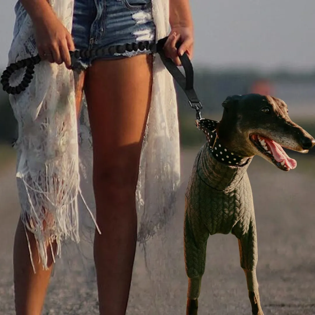 Bungee dog leash - tactical stretchy - 2 handle