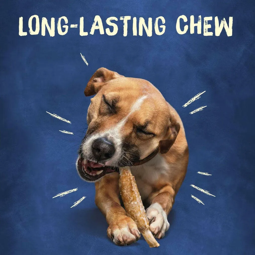 Busy Rib Hide Long-Lasting Beef Hide Chew Small/Medium Dog Treat, 6 count