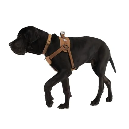 Carhartt P0000341 Nylon Duck Training Dog Harness, Rugged On-Leash Training Harness with Dual Attachment Points
