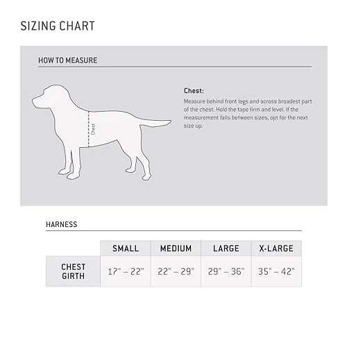 Carhartt P0000341 Nylon Duck Training Dog Harness, Rugged On-Leash Training Harness with Dual Attachment Points