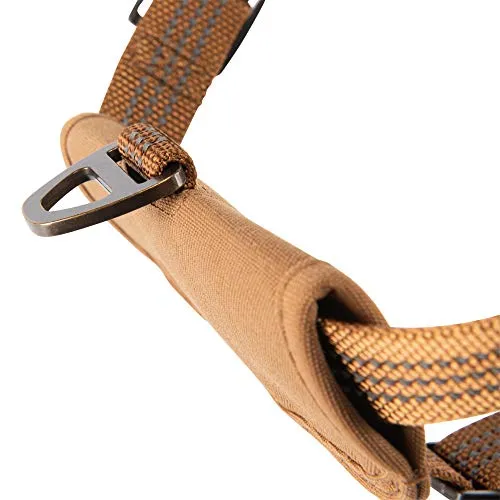 Carhartt P0000341 Nylon Duck Training Dog Harness, Rugged On-Leash Training Harness with Dual Attachment Points