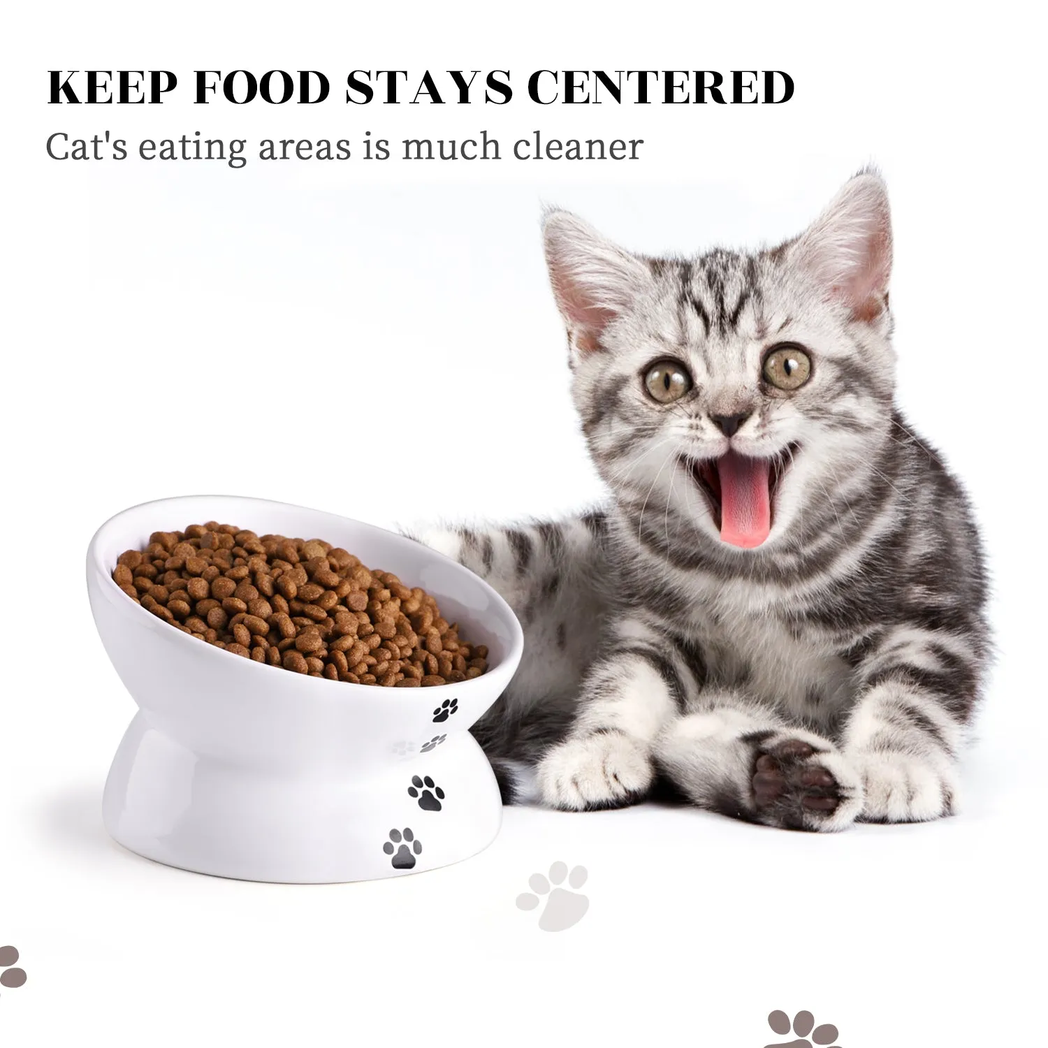 Cat Food Bowls 5"