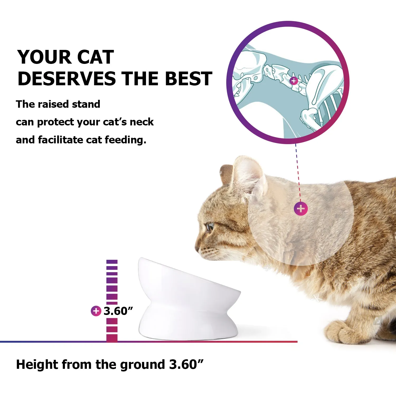 Cat Food Bowls 5"