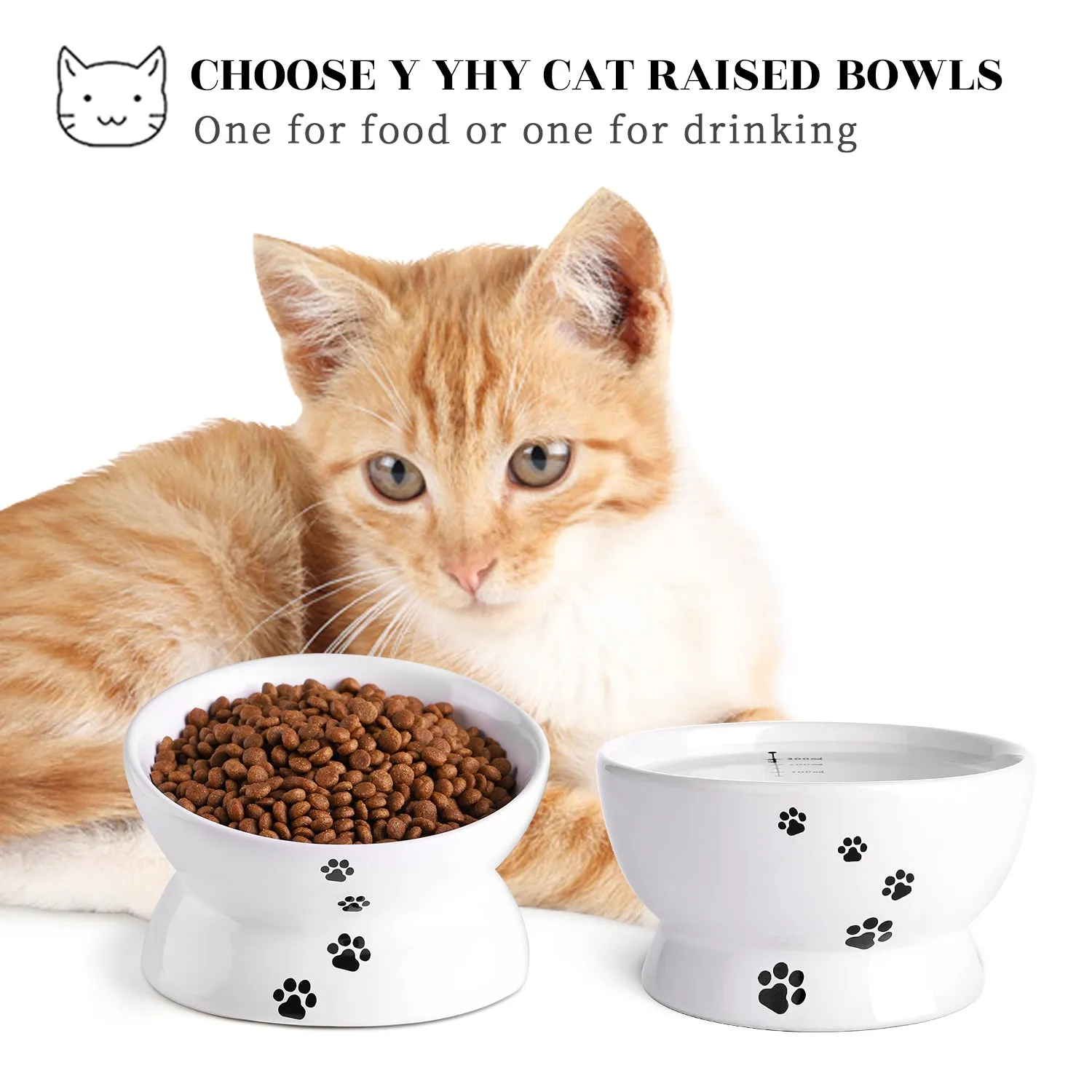 Cat Food Bowls 5"