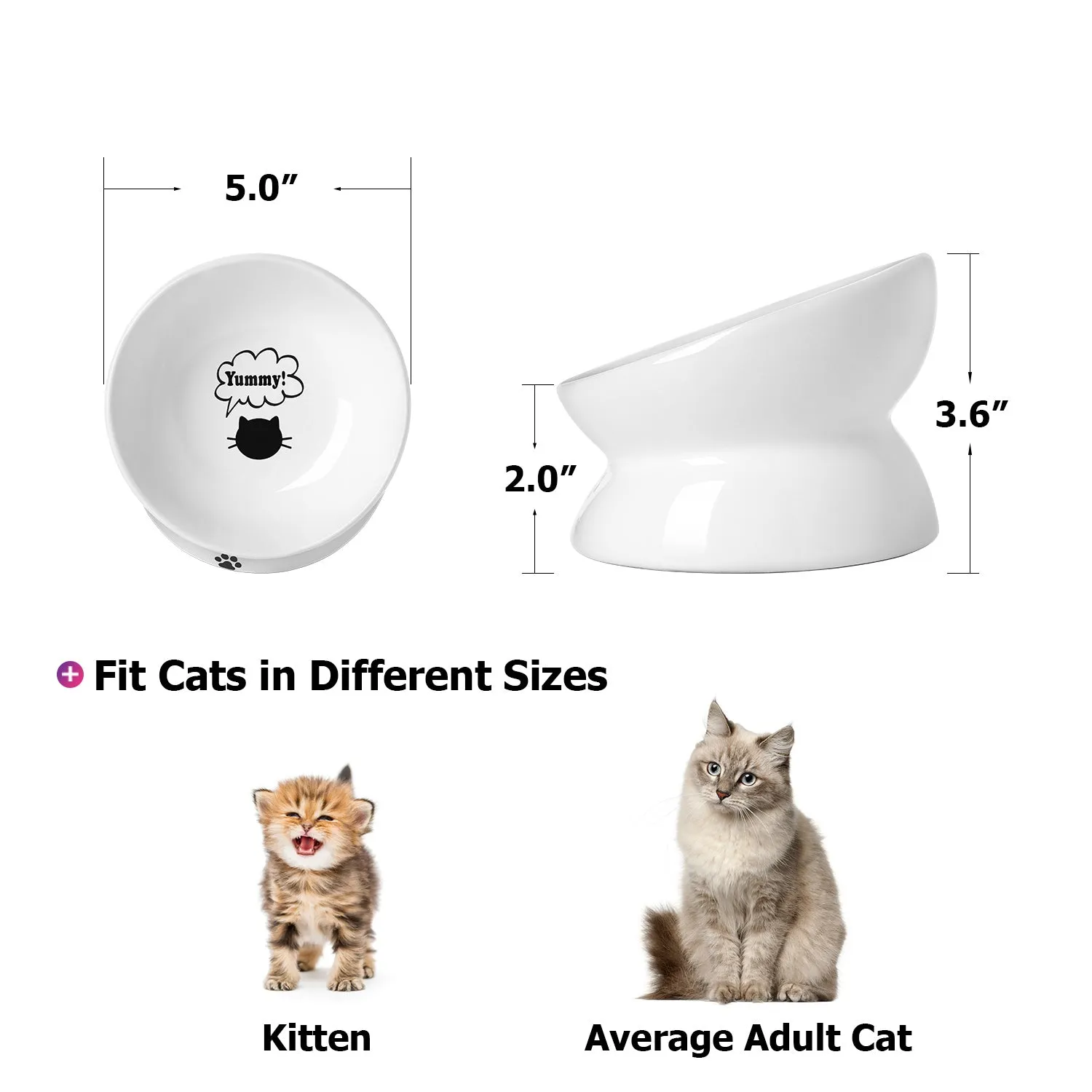 Cat Food Bowls 5"