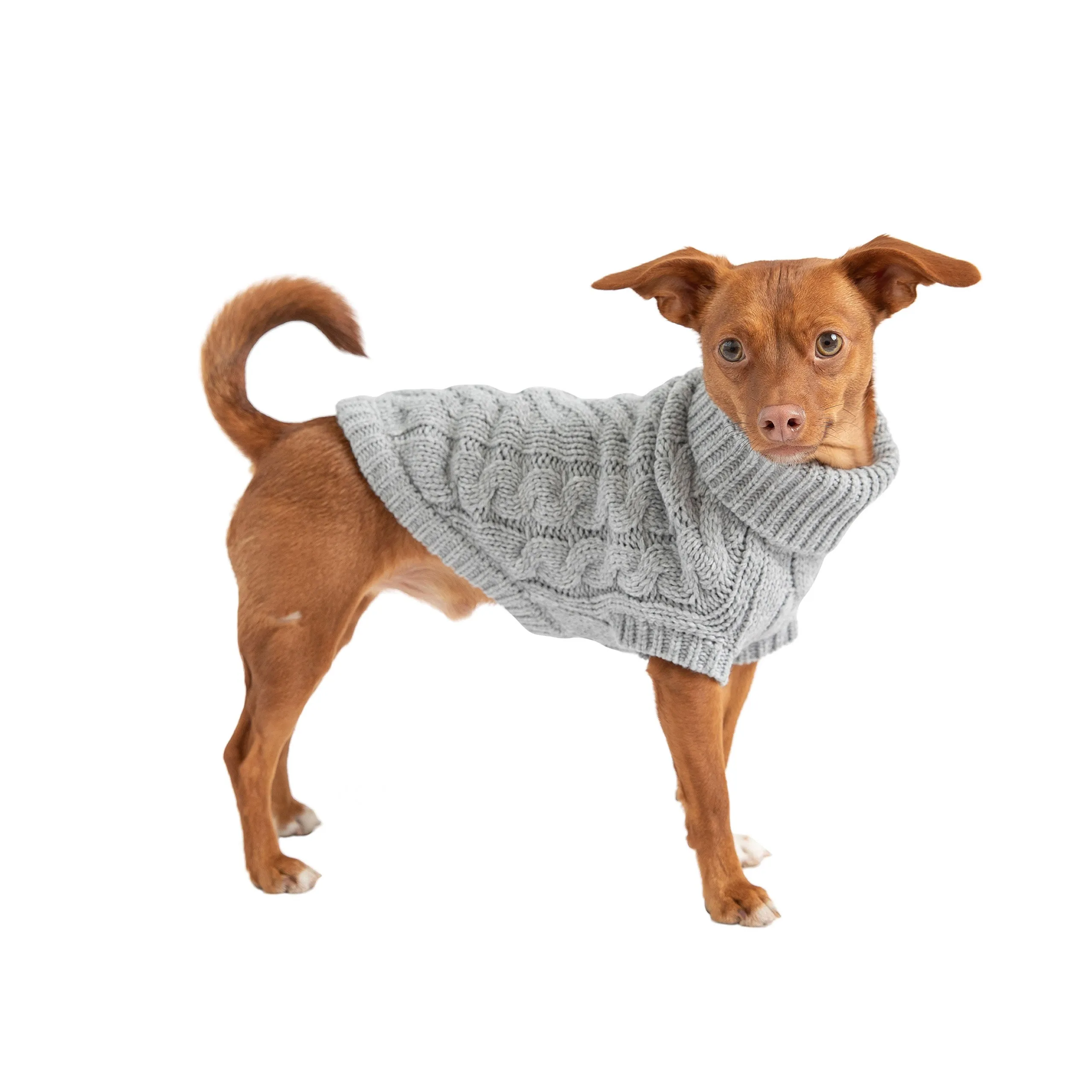 Chalet Dog Sweater Grey