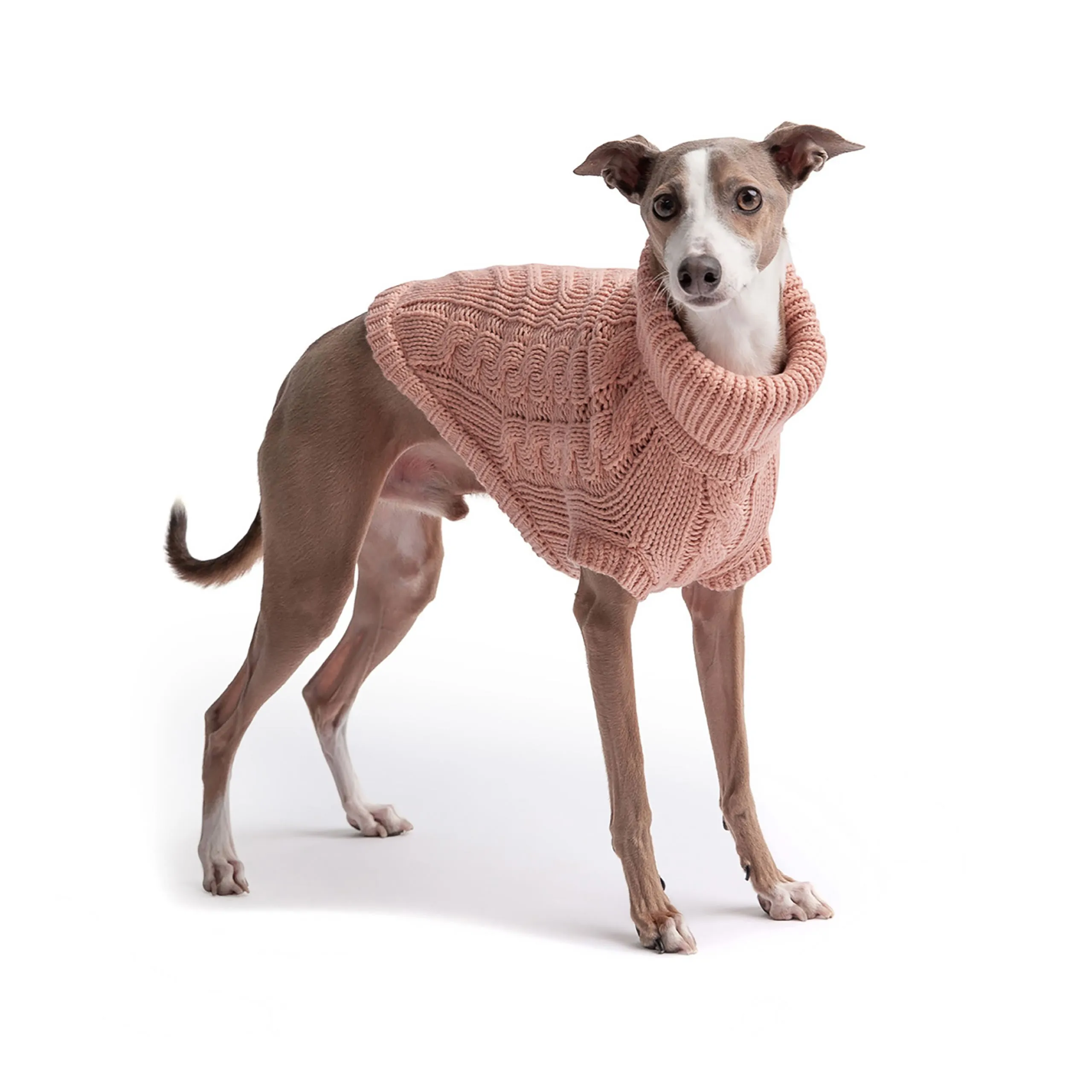 Chalet Dog Sweater Pink