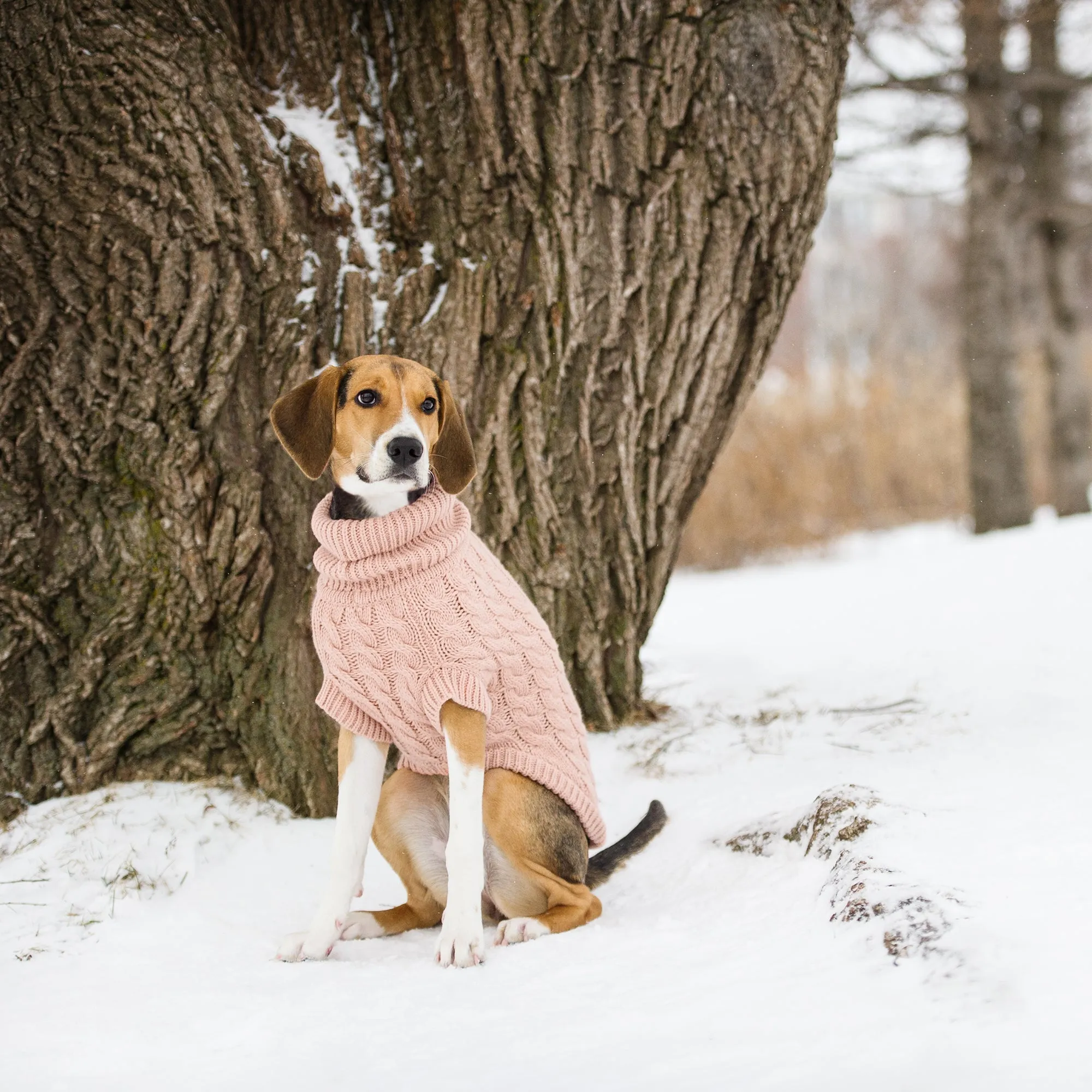 Chalet Dog Sweater Pink