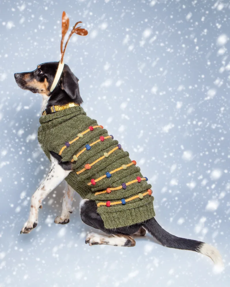 Christmas Tree Hand Knit Dog Sweater