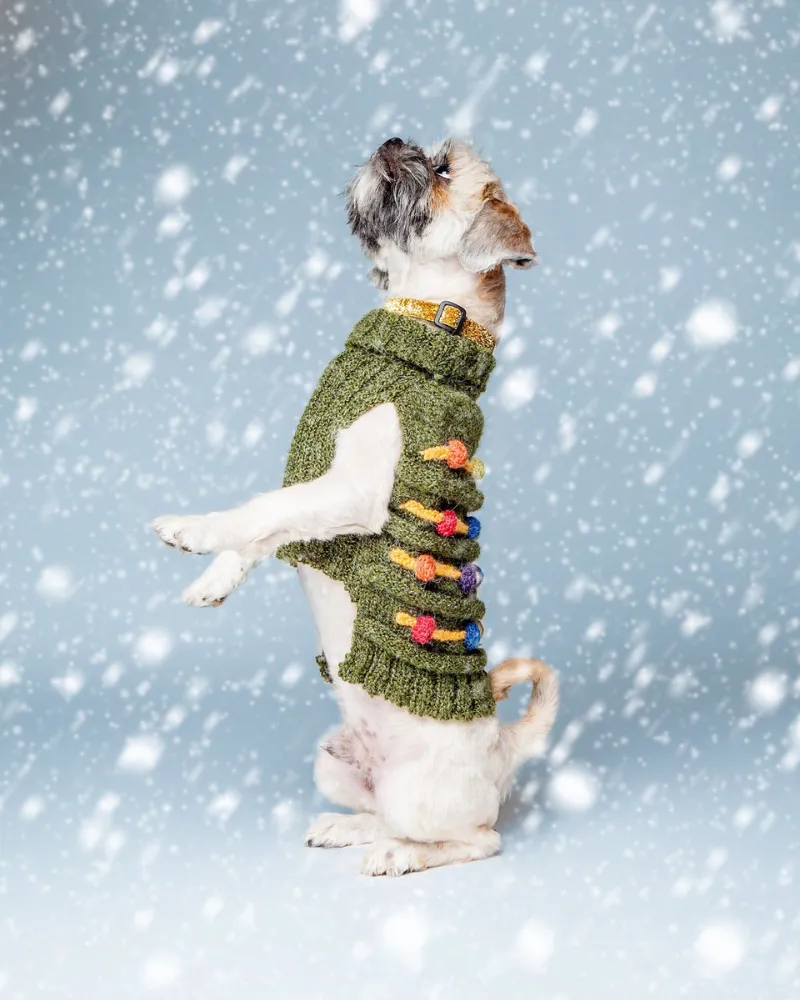 Christmas Tree Hand Knit Dog Sweater