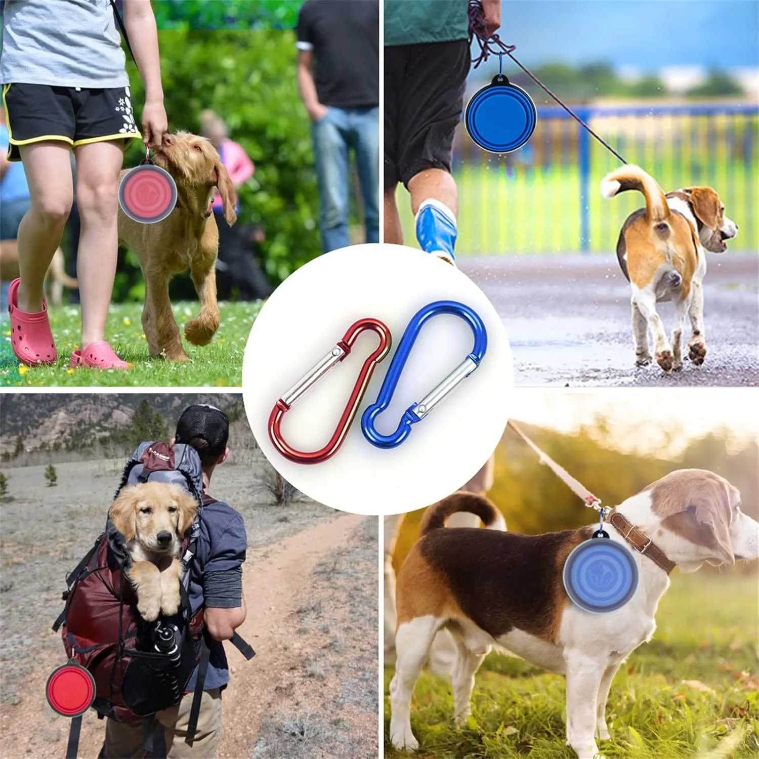 Collapsible Dog Bowl,2 Pack Portable and Foldable Pet Travel Bowls Collapsable Dog Water Feeding Bowls Dish for Dogs Cats and Small Animals,with Lids (Small, Blue Red)