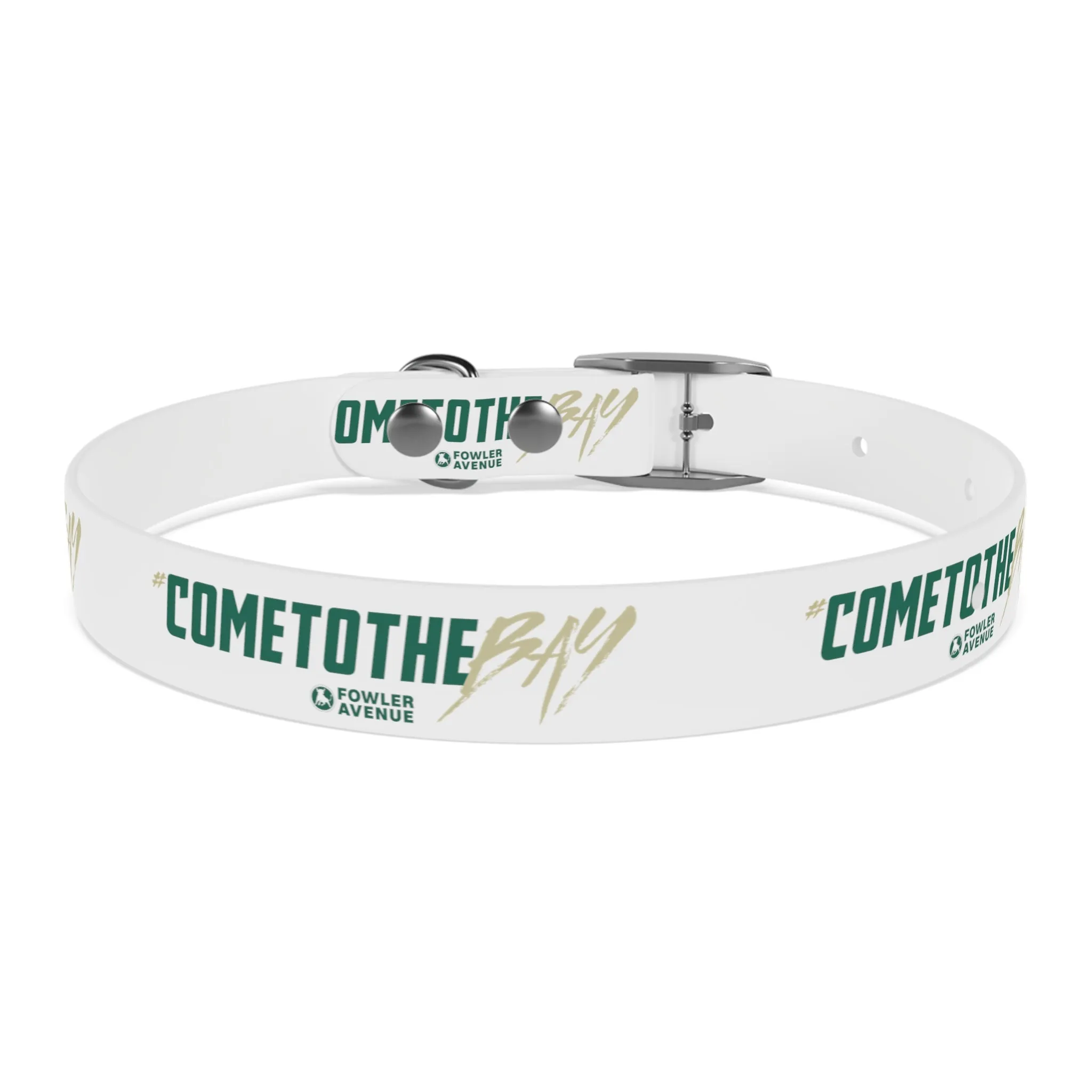 Come to The Bay Dog Collar