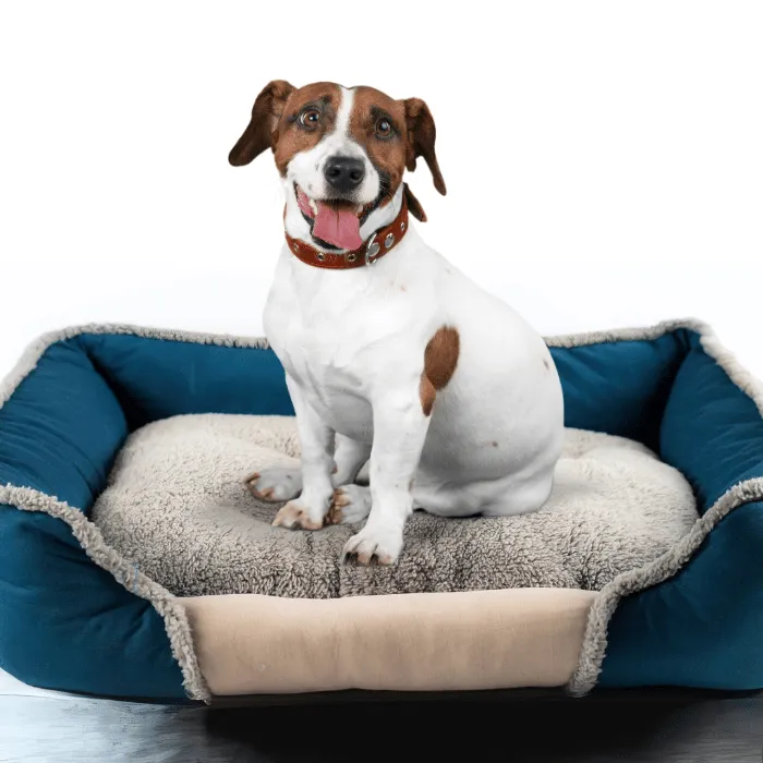 Cozy and Reversible 26'' Pet Bed with Removable Cushion