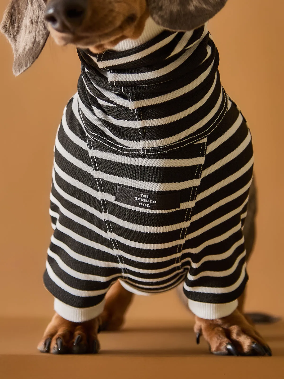 Dachshund Striped Turtleneck Sweater ELOISE