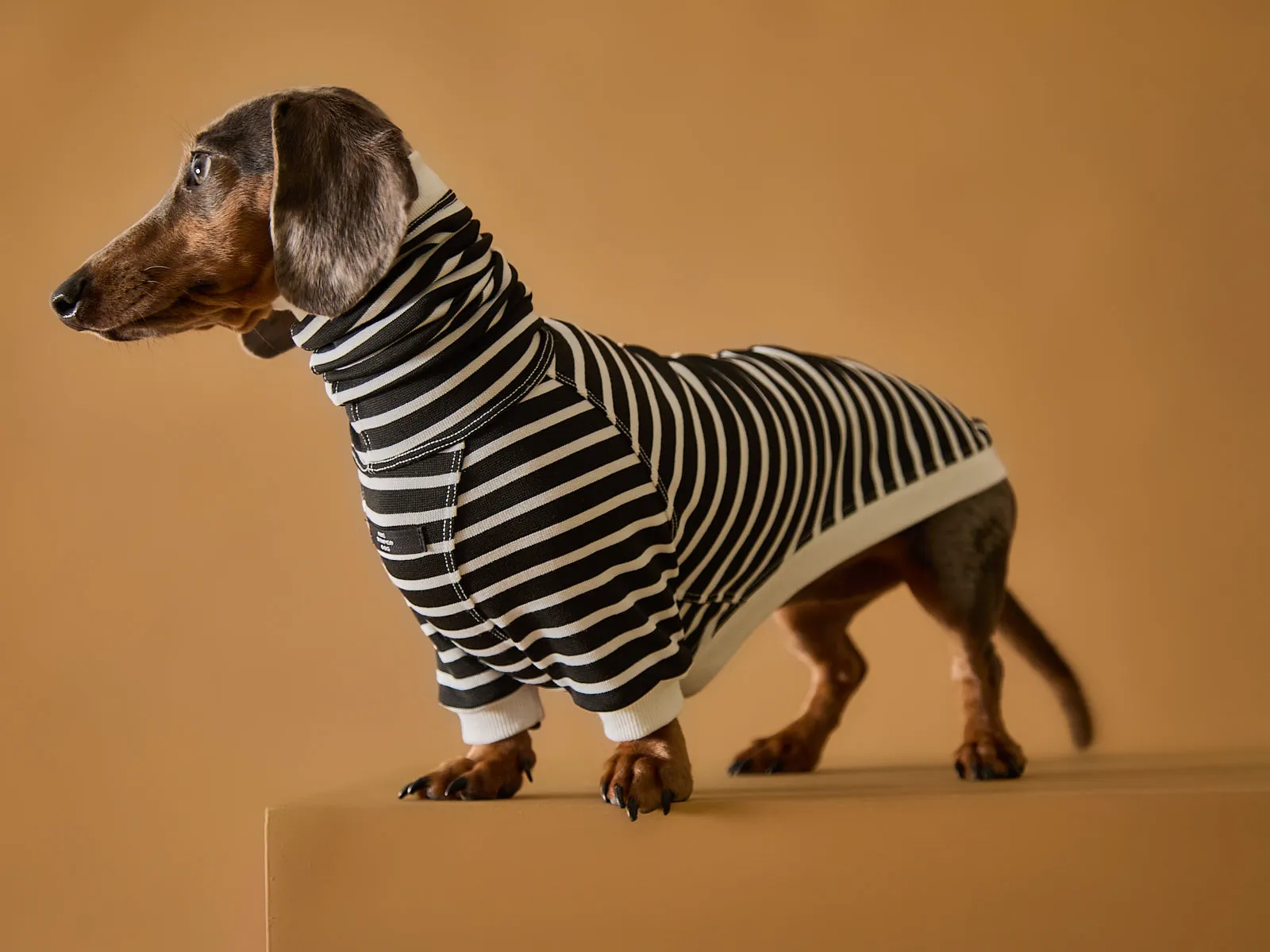 Dachshund Striped Turtleneck Sweater ELOISE