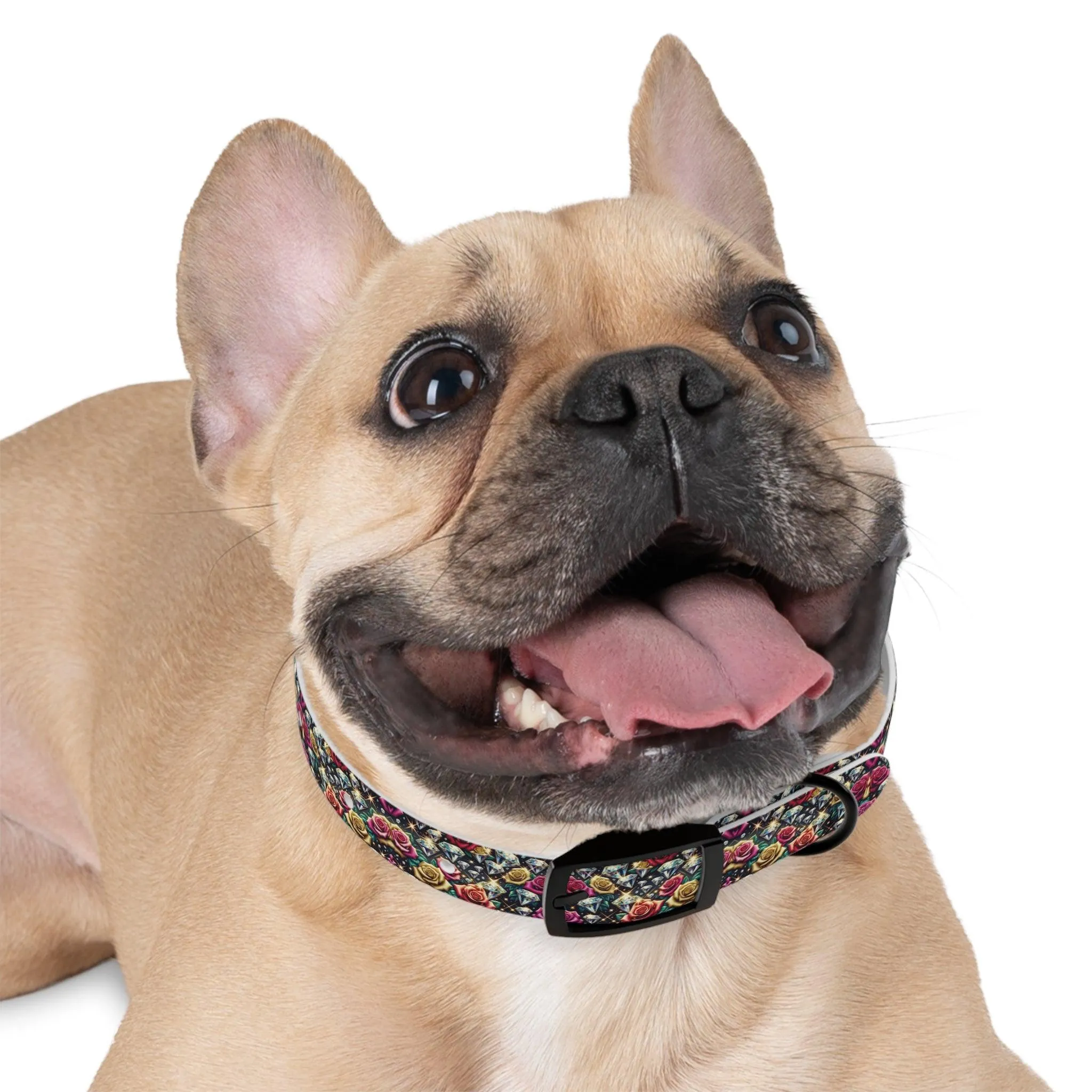 Dazzle & Delight Dog Collar