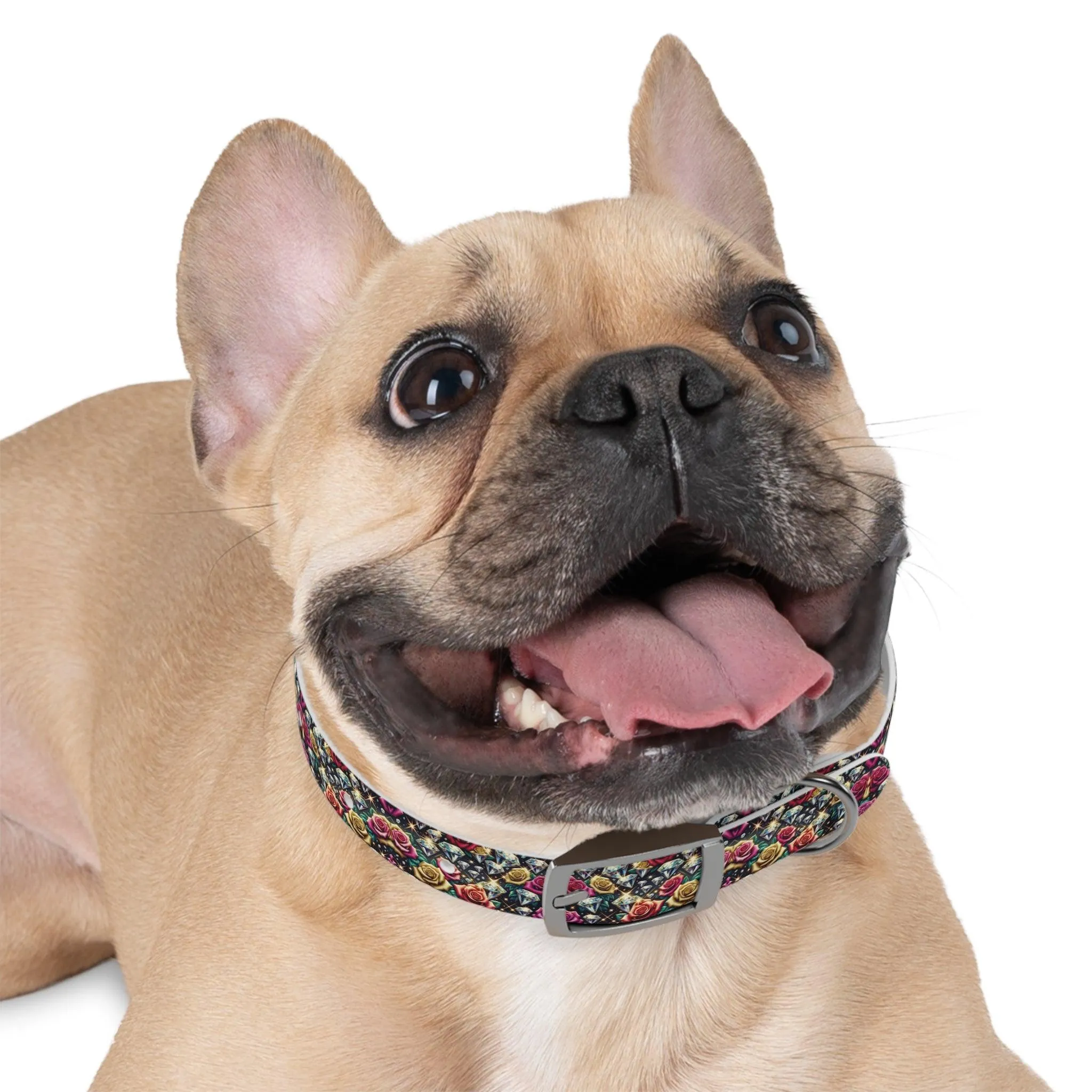 Dazzle & Delight Dog Collar