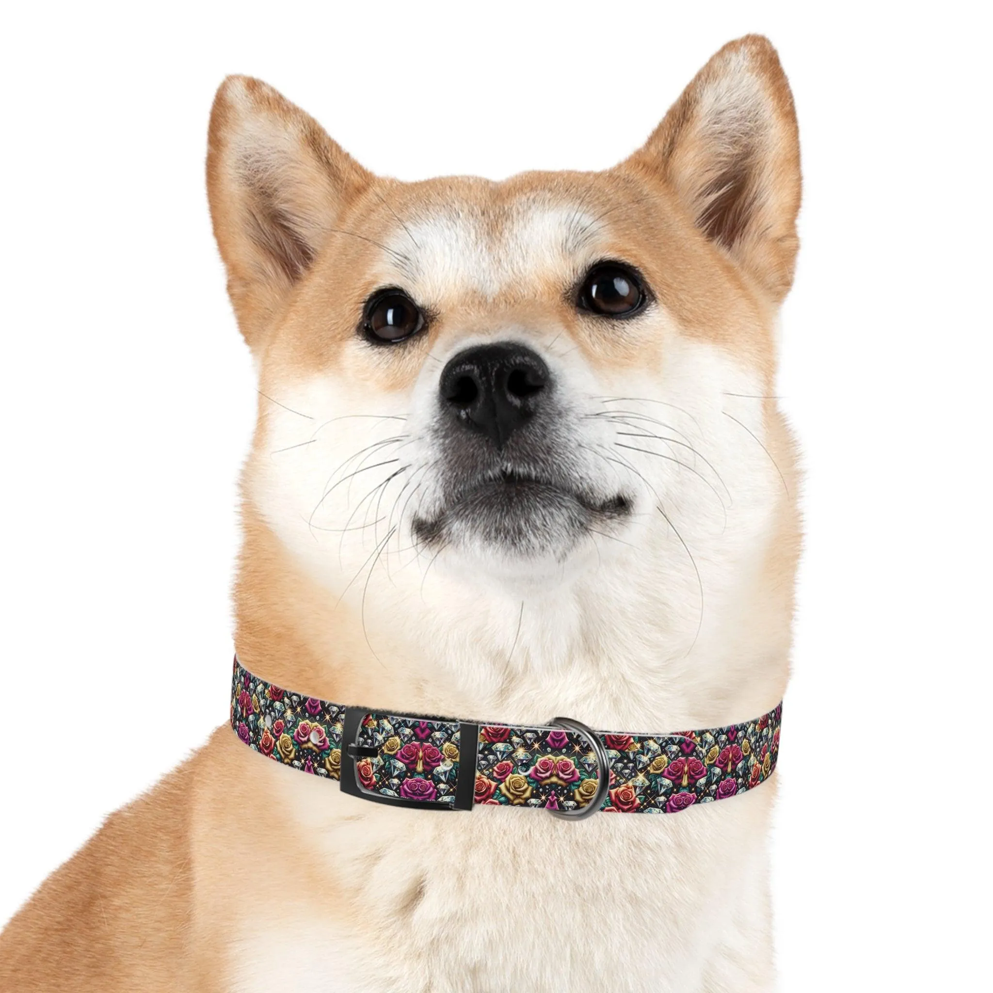 Dazzle & Delight Dog Collar