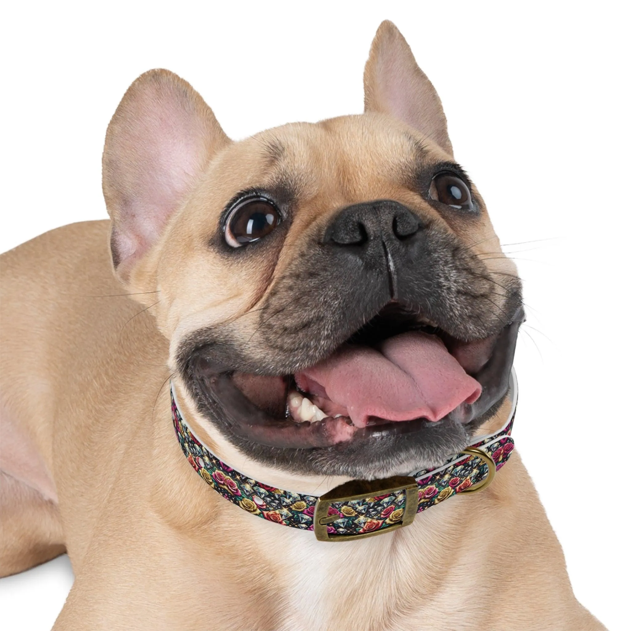Dazzle & Delight Dog Collar