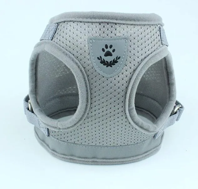 Dog Harness And Leash
