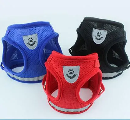 Dog Harness And Leash