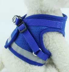 Dog Harness And Leash