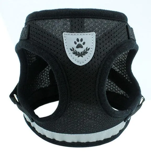 Dog Harness And Leash