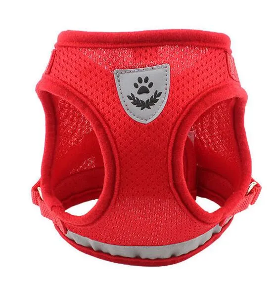 Dog Harness And Leash