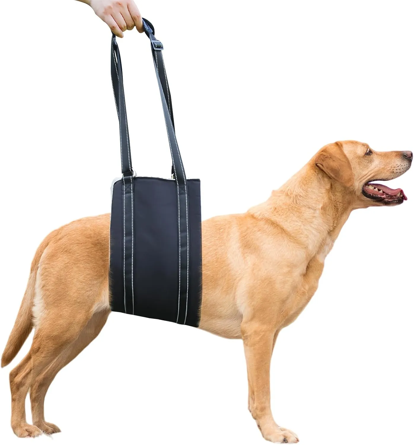 Dog Lift Harness for Large Dogs, Dog Sling for Large Dogs Hind Leg Support Rehabilitation Comfortably Supports Elderly Dogs with Hip Brace, Black