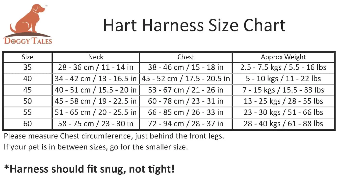 Doggy Tales Patented Hart Harness, Gray
