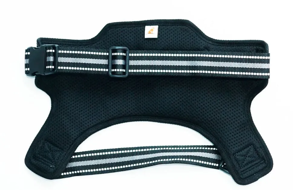 Doggy Tales Patented Hart Harness, Gray